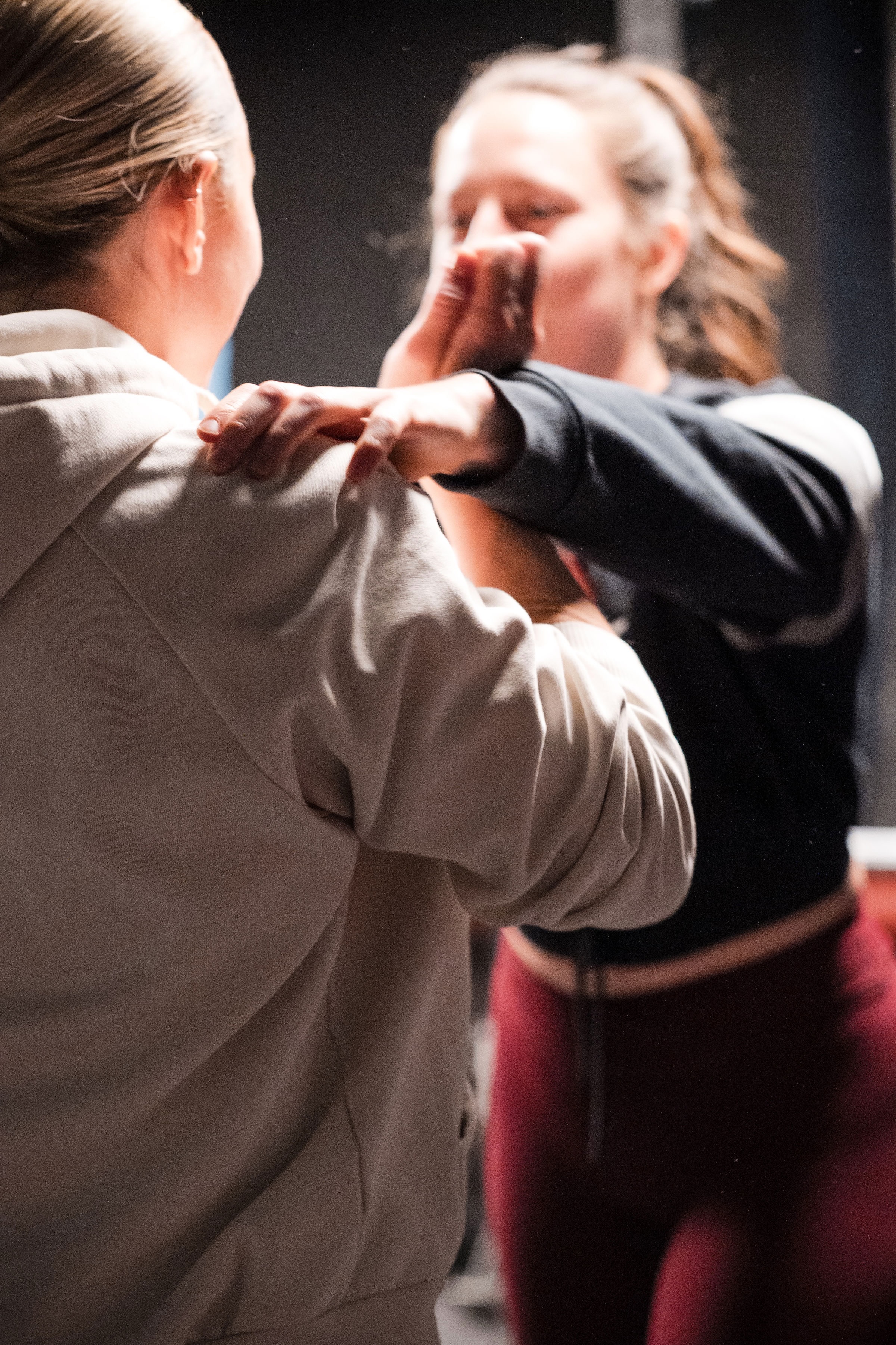 Selbstverteidigung Seminar